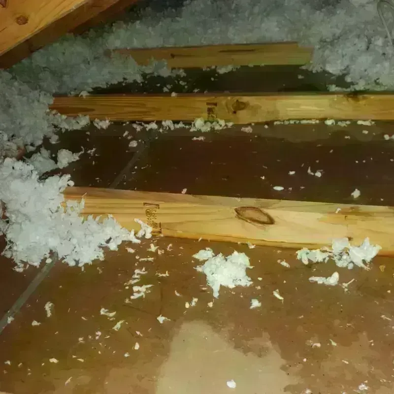 Attic Water Damage in Johnson County, IA