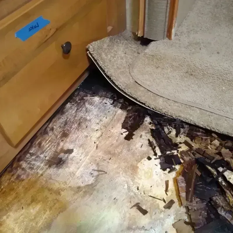 Wood Floor Water Damage in Johnson County, IA